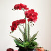 Bình hoa lan hồ điệp tone đỏ