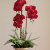 Bình hoa lan hồ điệp tone đỏ mix sen đá