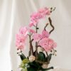 Bình hoa lan hồ điệp tone hồng mix cành