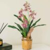 Bình hoa lan hoàng thảo tone tím đậm