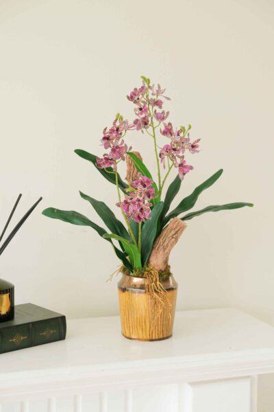 Bình hoa lan hoàng thảo tone tím đậm