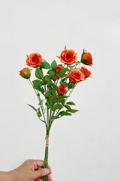 Bó hồng tỉ muội 6 bông 6 nụ màu cam