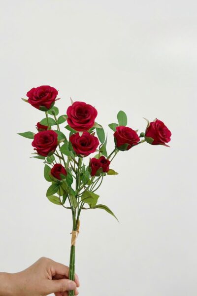 Bó hồng tỉ muội 6 bông 6 nụ màu đỏ