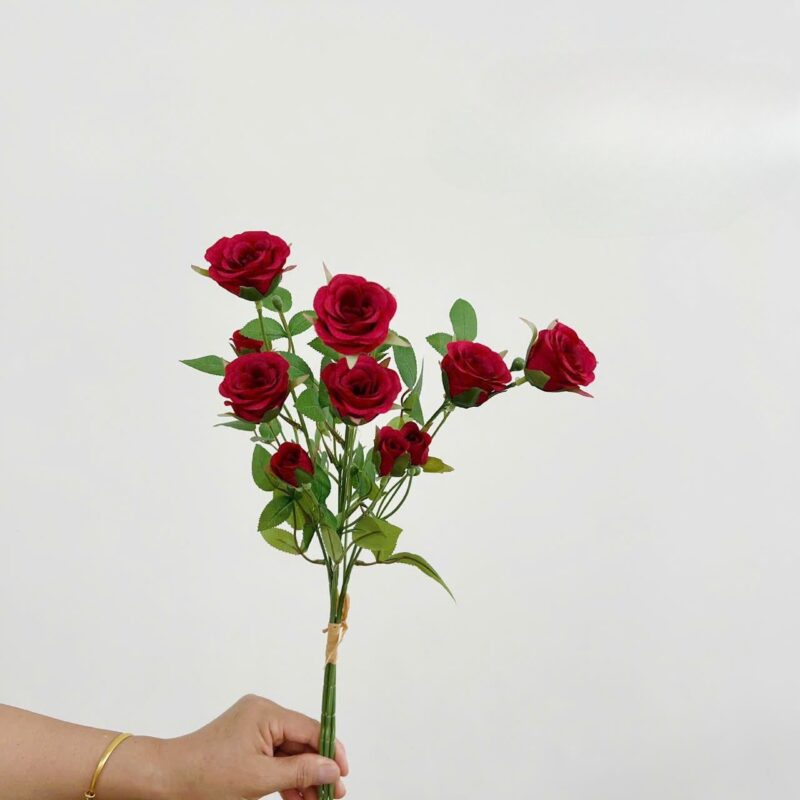 Bó hồng tỉ muội 6 bông 6 nụ màu đỏ
