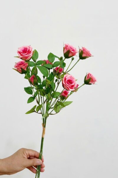 Bó hồng tỉ muội 6 bông 6 nụ màu hồng đậm