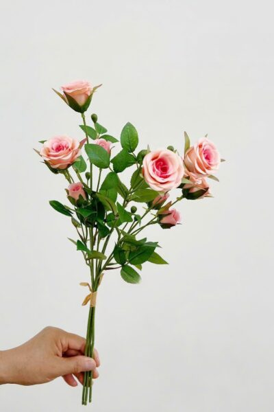 Bó hồng tỉ muội 6 bông 6 nụ màu hồng nhạt