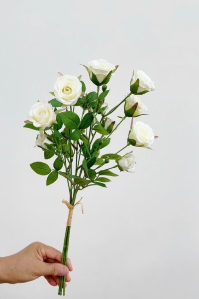 Bó hồng tỉ muội 6 bông 6 nụ màu trắng