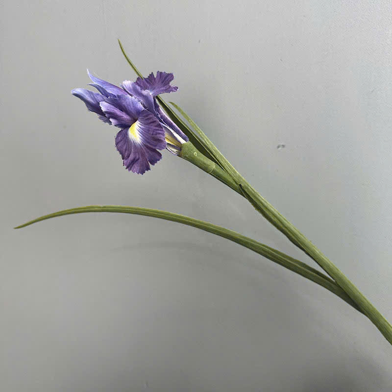 Cành hoa diên vỹ lá nhựa màu tím