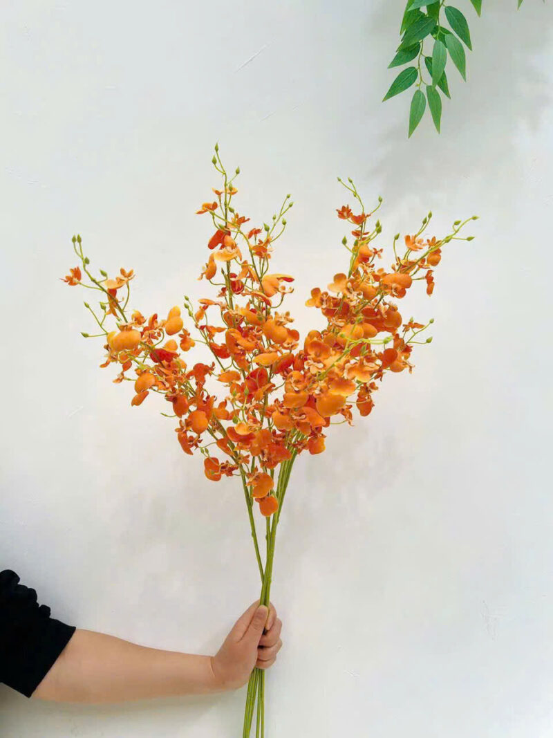 Cành lan vũ nữ hoa decor