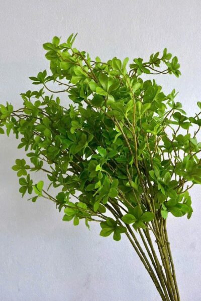 Cành thạch nam - Hoa lụa cao cấp - Cao 120cm
