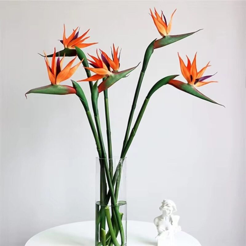 Cành thiên điểu cao su màu cam
