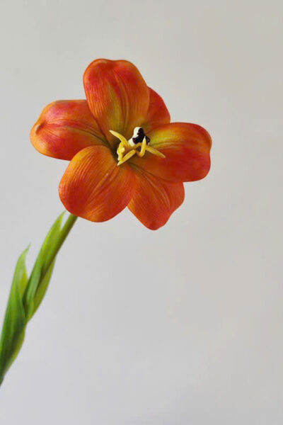 Cành tulip nở 1 bông chất PU mềm màu cam đậm