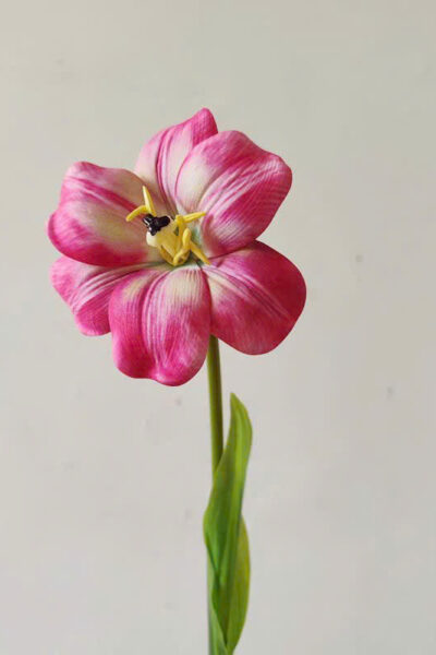 Cành tulip nở 1 bông chất PU mềm màu hồng đậm