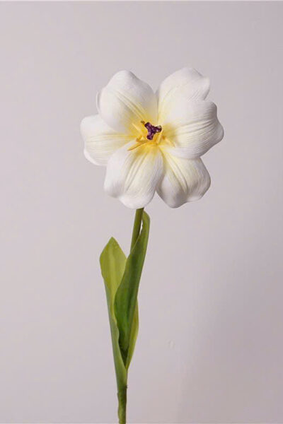 Cành tulip nở 1 bông chất PU mềm màu trắng