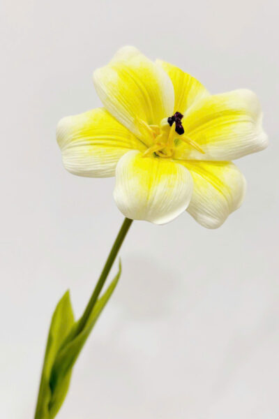 Cành tulip nở 1 bông chất PU mềm màu vàng