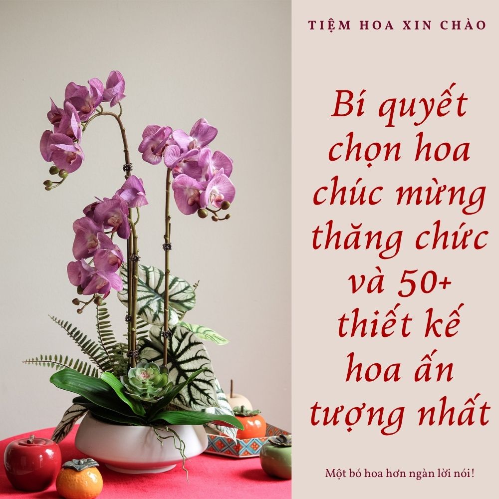 Hoa chúc mừng thăng chức