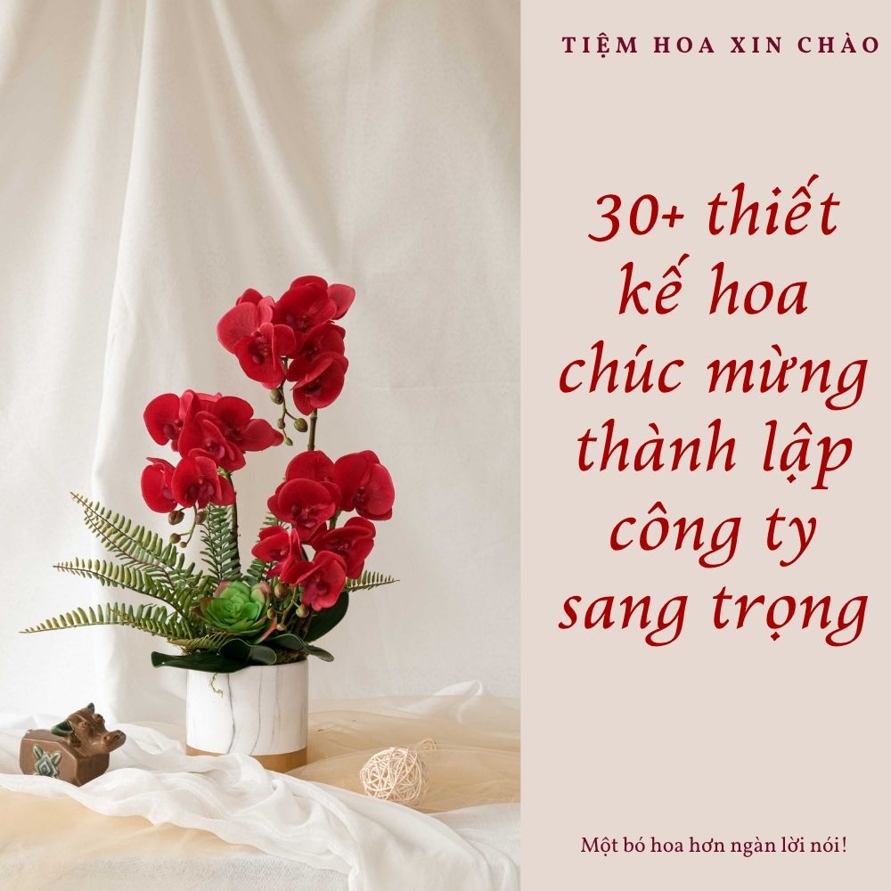 Hoa chúc mừng thành lập công ty