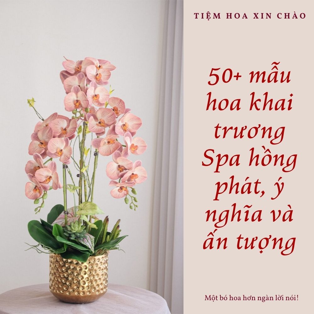 hoa khai trương Spa hồng phát