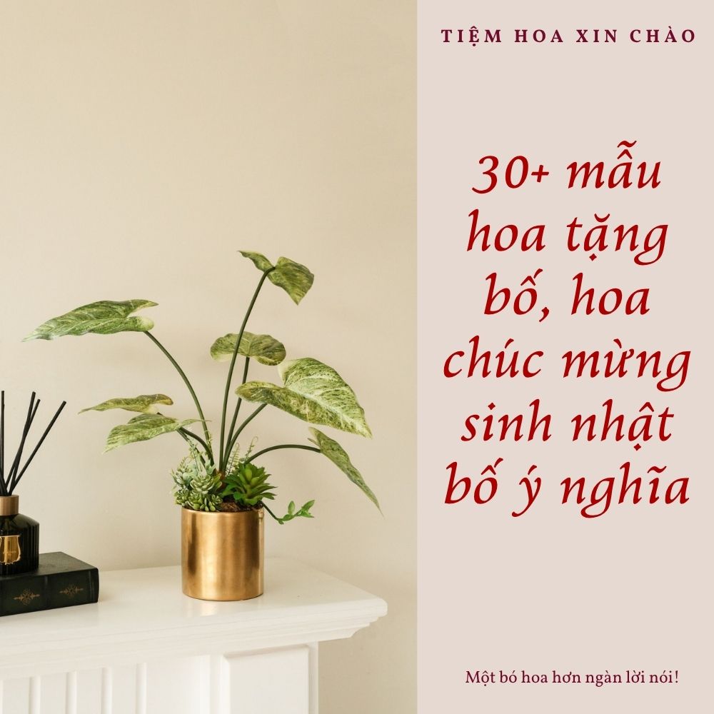 hoa tặng bố, hoa chúc mừng sinh nhật bố