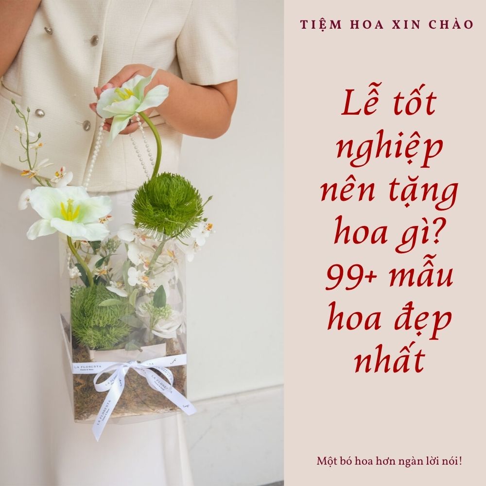 Lễ tốt nghiệp nên tặng hoa gì