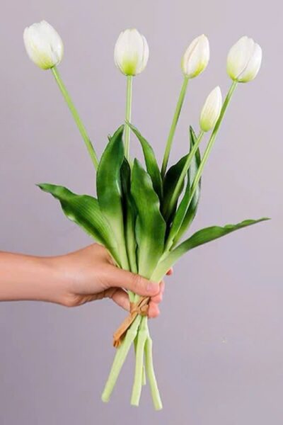 Bó hoa tulip cao su 5 bông màu hồng trắng