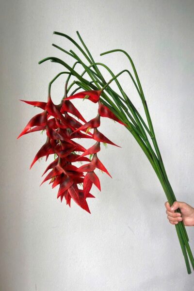 Cành chuối pháo rủ hoa decor