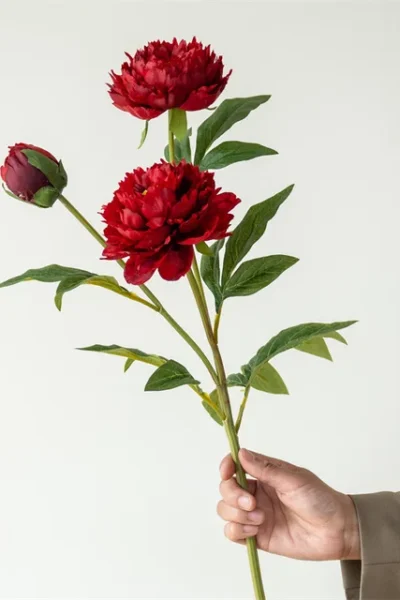 Cành hoa mẫu đơn 2 bông 1 nụ màu đỏ