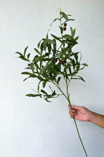 Cành lá oliu giả
