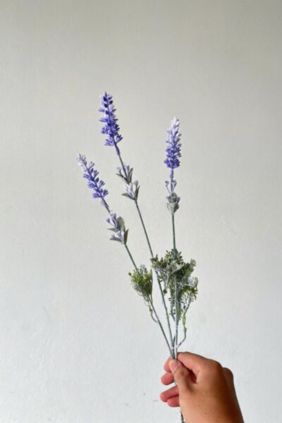 Cành lavender thân phấn giả