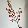Cành quả táo nhỏ decor màu đỏ