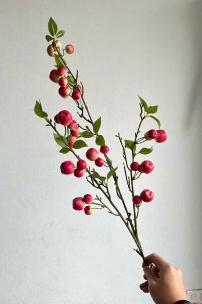 Cành quả táo nhỏ decor màu đỏ