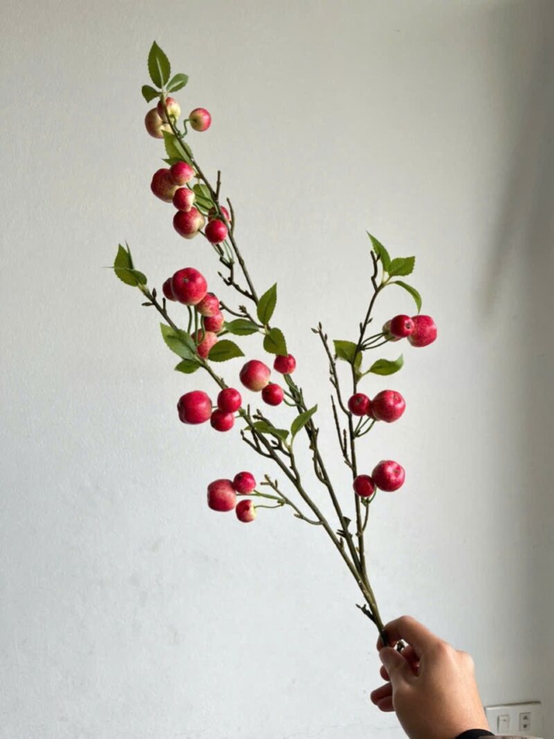 Cành quả táo nhỏ decor màu đỏ