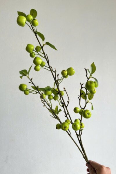 Cành quả táo nhỏ decor màu xanh lá cây