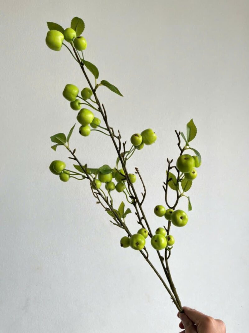 Cành quả táo nhỏ decor màu xanh lá cây