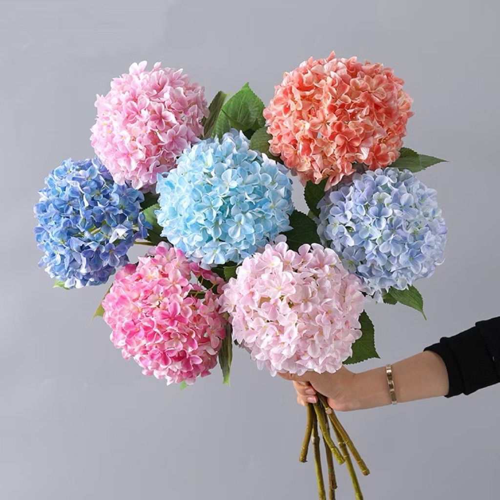 Hoa cẩm tú cầu - Hoa đại diện cho tình yêu chân thành
