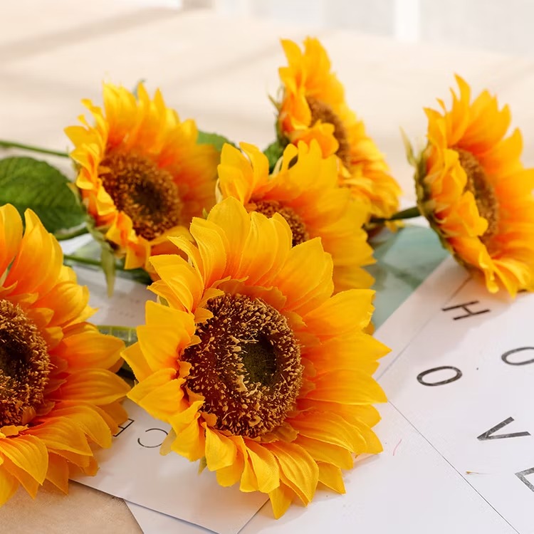 Hoa hướng dương hoa sinh nhật tặng bạn thân