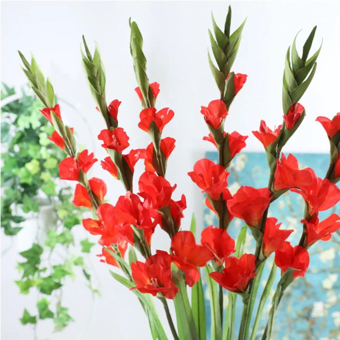 Hoa lay ơn loài hoa tượng trưng cho hạnh phúc gia đình