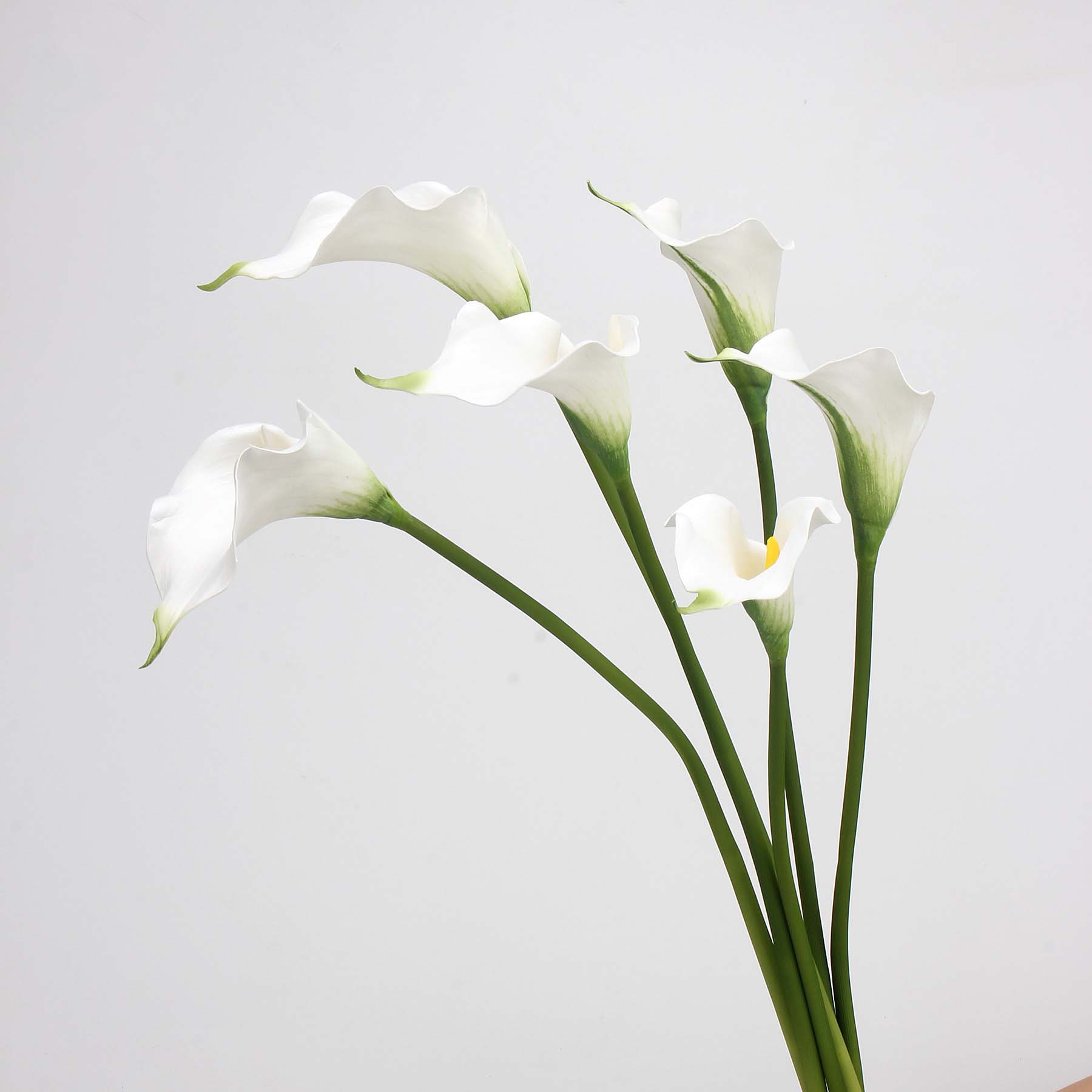 Hoa Rum/ Calla Lily - Vẻ đẹp thanh khiết của tình yêu