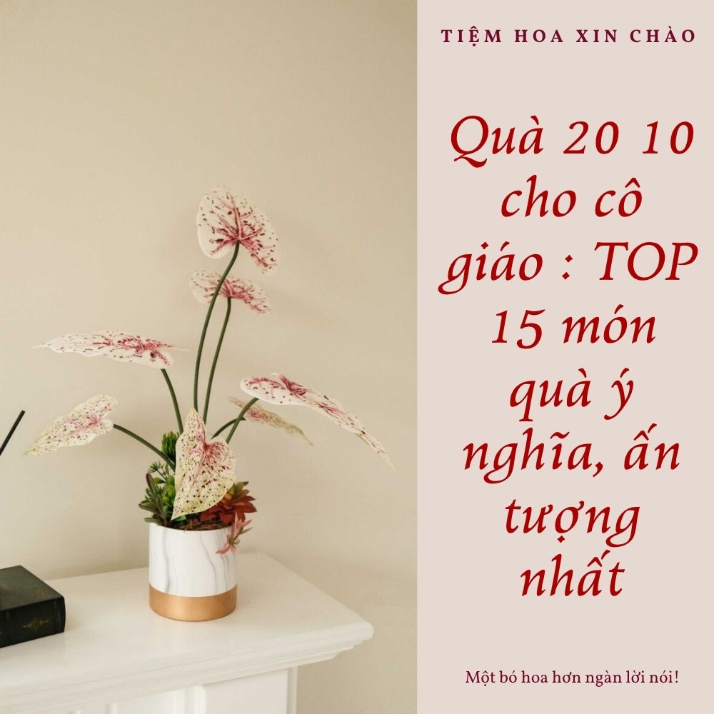 Quà 20/10 cho cô giáo ý nghĩa