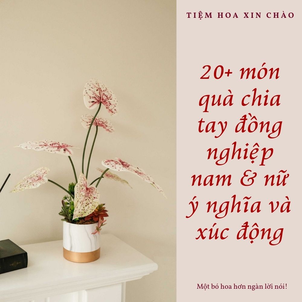 quà chia tay đồng nghiệp nam & nữ