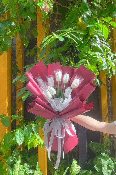Bó hoa tulip 9 bông tone đỏ trắng