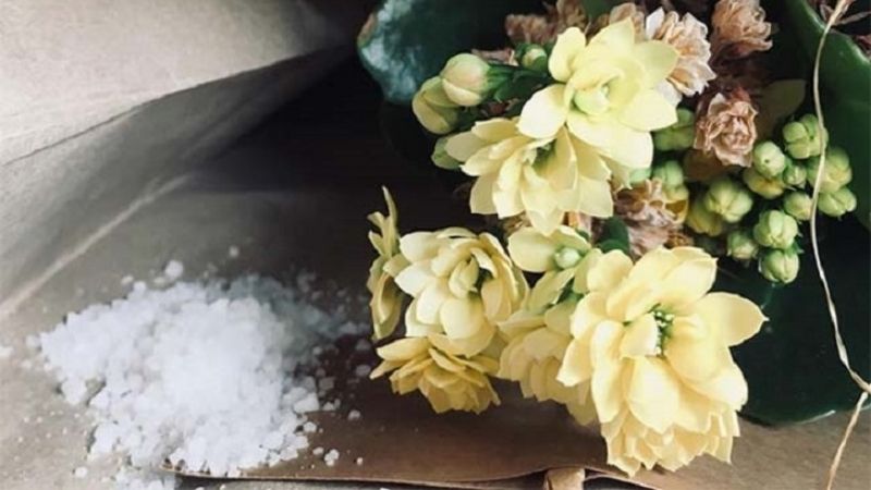 Cách vệ sinh hoa lụa bằng muối ăn