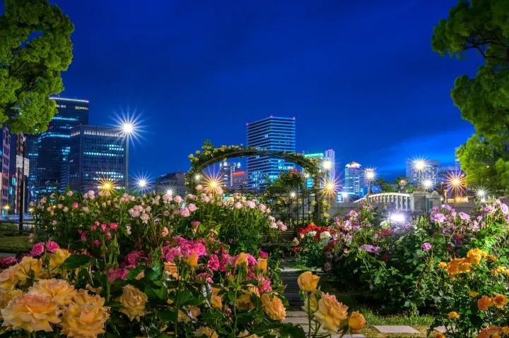 Công viên Nakanoshima