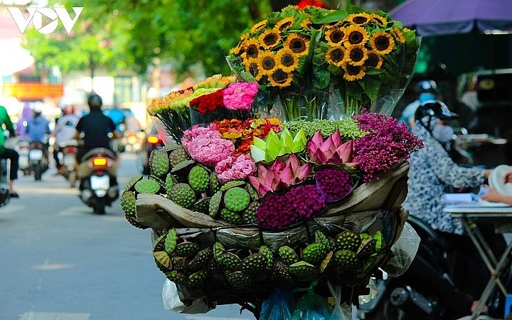 địa điểm ngắm những loài hoa nở vào mùa thu