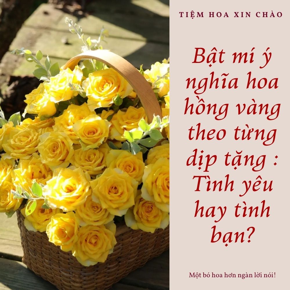 ý nghĩa hoa hồng vàng theo từng dịp tặng