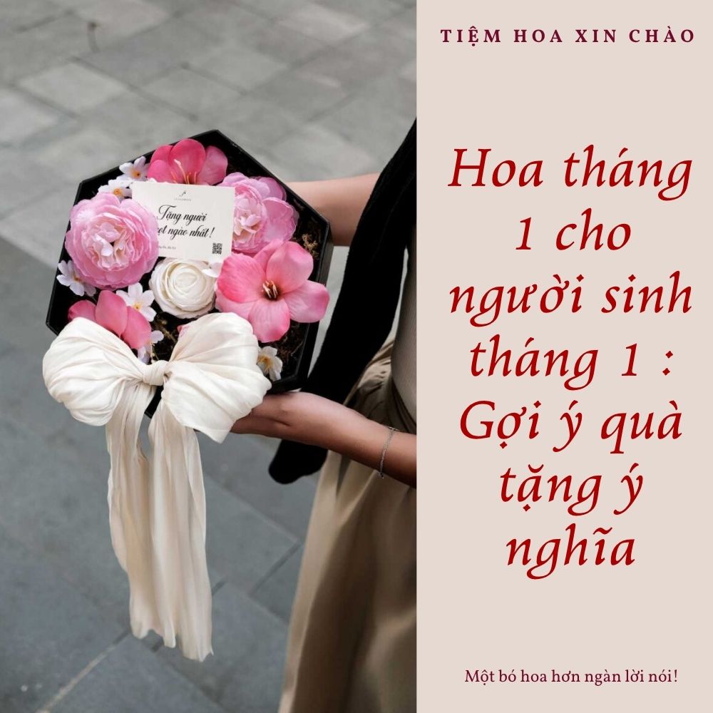 Hoa tháng 1 cho người sinh tháng 1