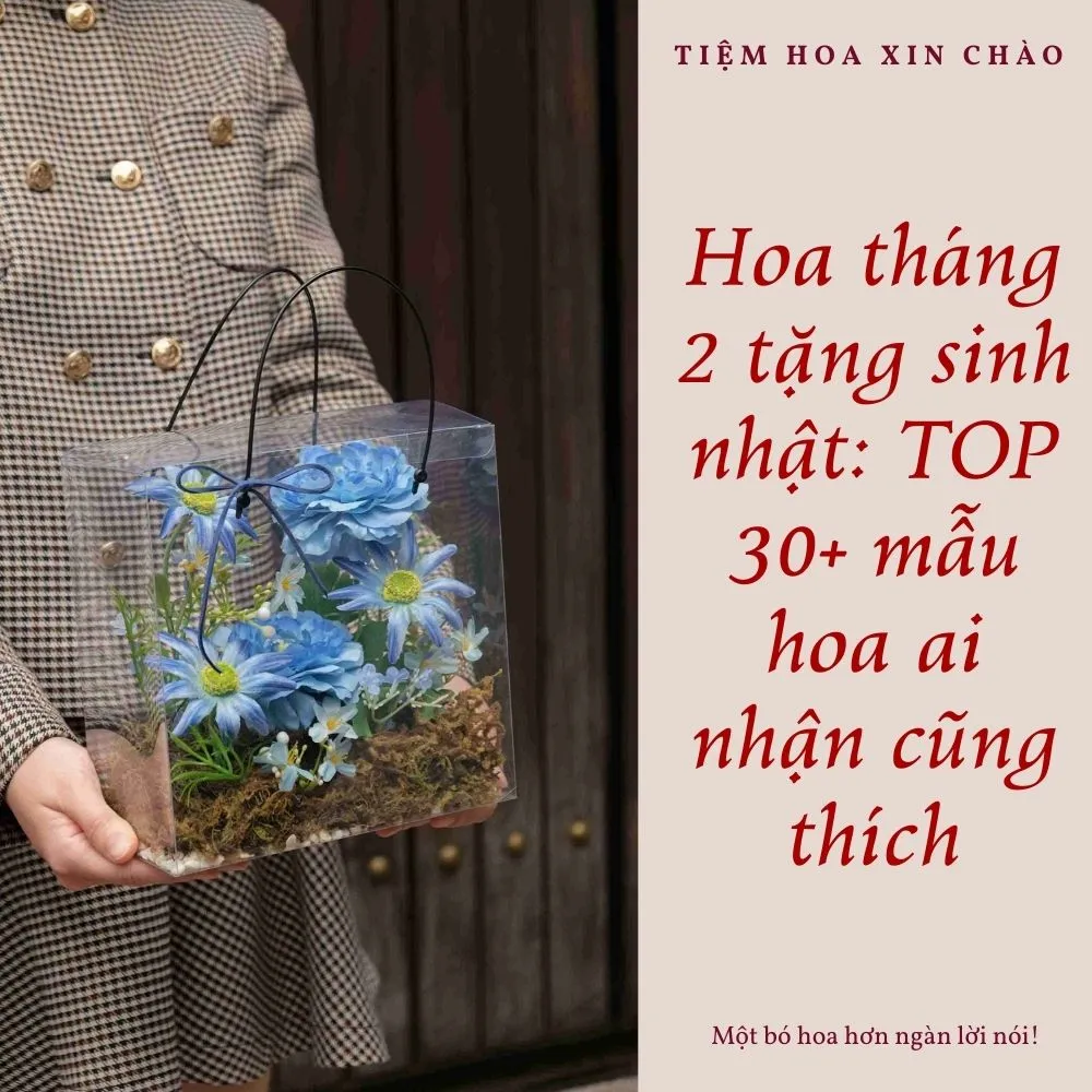 Hoa tháng 2 tặng sinh nhật