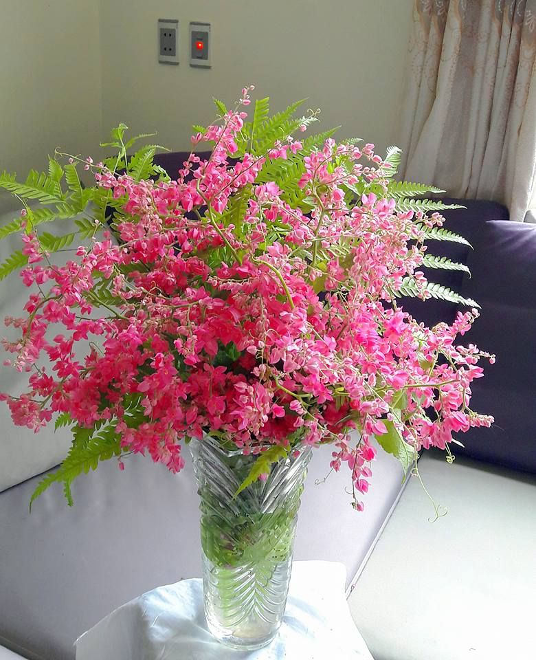 Ứng dụng hoa tigon trong đời sống