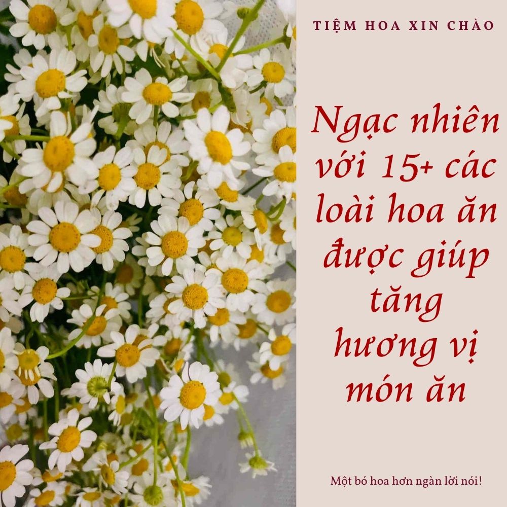 các loài hoa ăn được